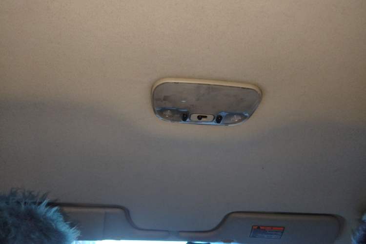 Used Haima Haifuxing 2007 1.6L Manual Comfort GLX Headliner