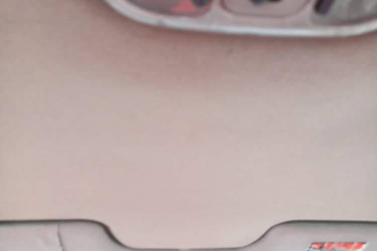 Used Haima Haifuxing 2010 1.6L Manual Standard Edition Headliner