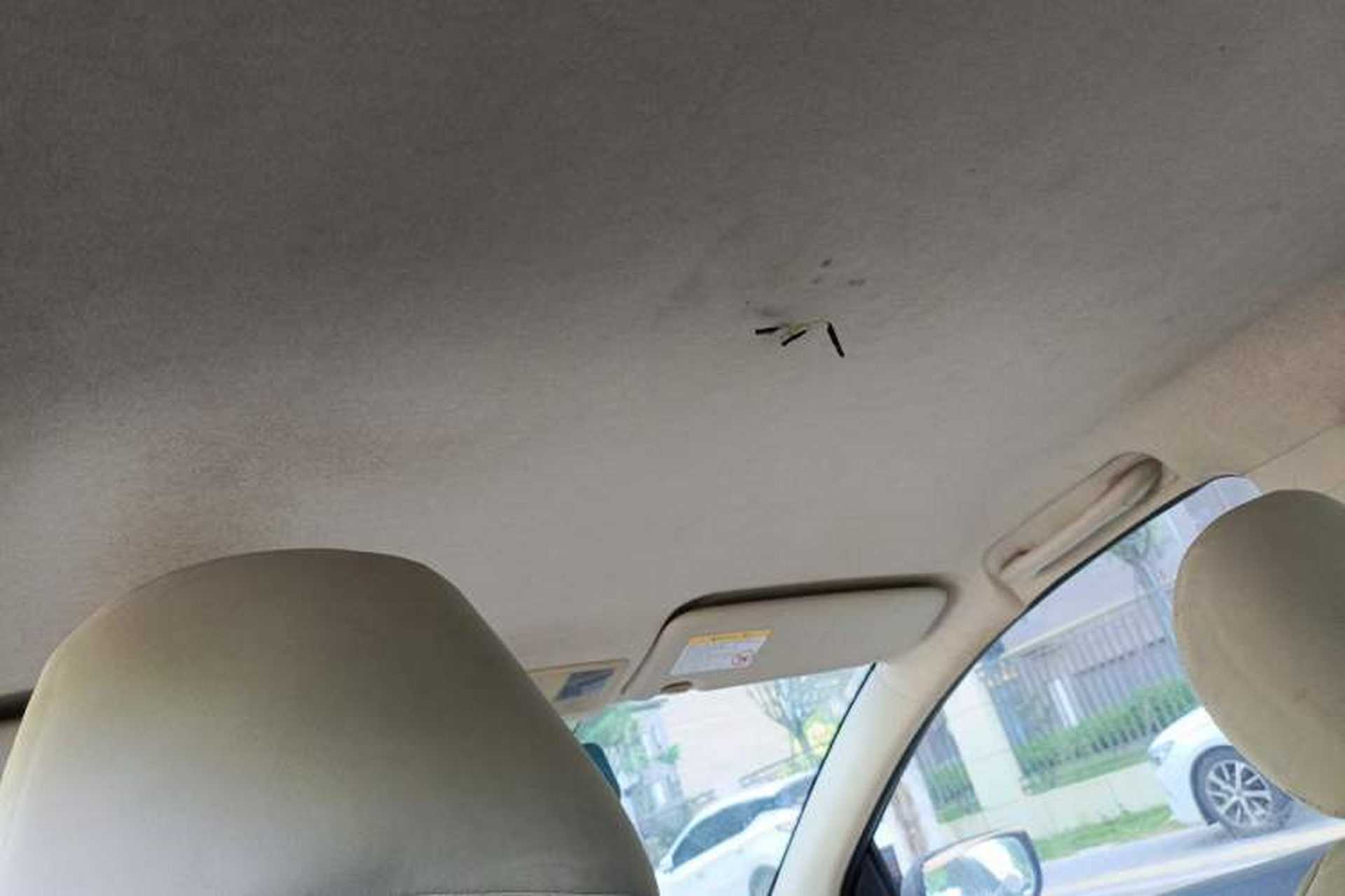 Used Haima M3 2013 1.5L Manual Base Version Headliner