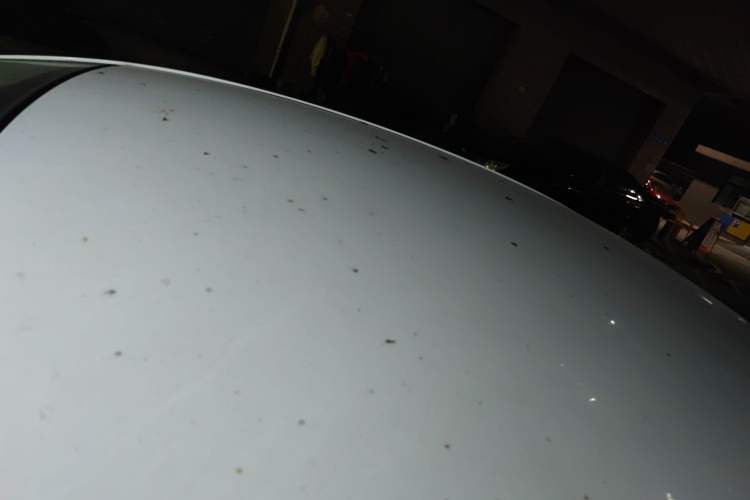 Used Haima M3 2014 1.5L Manual Standard Edition Roof