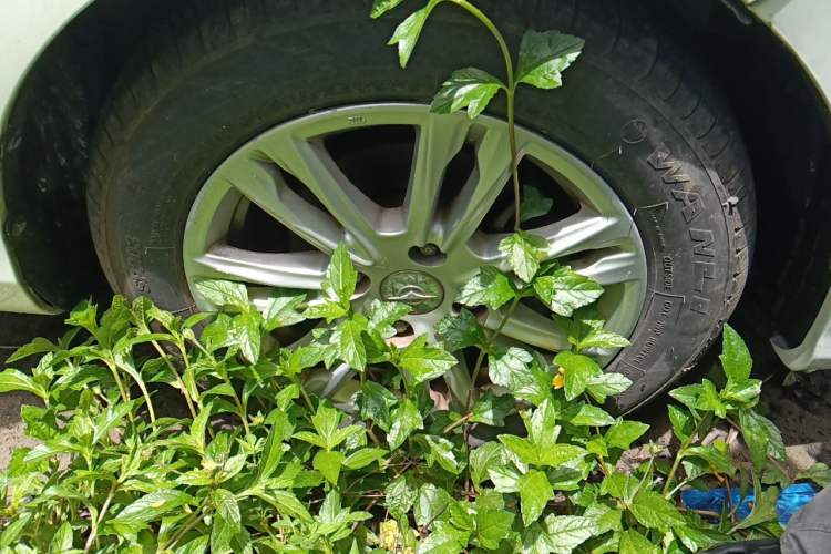 Used Haima M3 2016 1.5L CVT Smart Comfort Version Right Front Wheel Hub