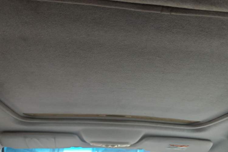 Used Haima Puxima 2010 1.8L Automatic 7-Seater Luxury Headliner