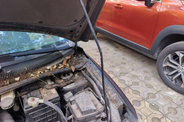 Used Haima Puxima 2010 1.8L Automatic 7-Seater Luxury Engine Bay Left