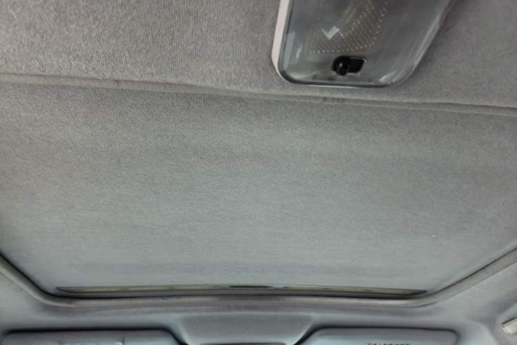 Used Haima Puxima 2010 1.8L Automatic 7-Seater Luxury Headliner