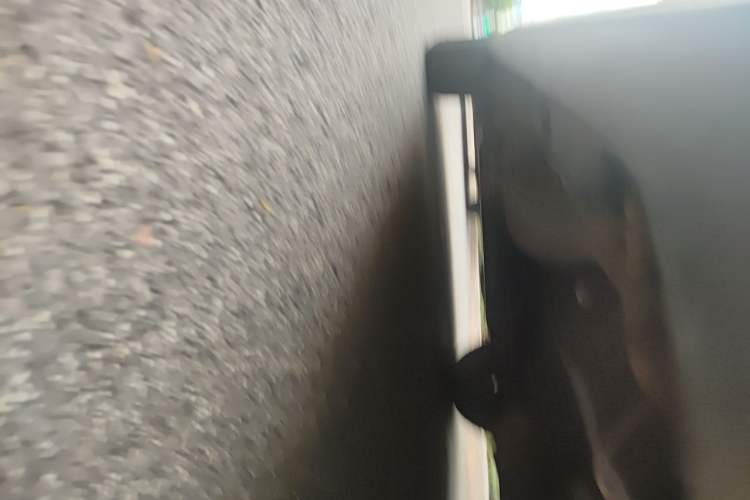 Used Haima Qishi 2012 2.0L Manual Elegant Style Chassis Rear Left