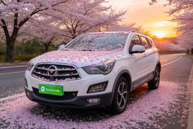 Used Haima S5 2018 1.5T CVT Luxury Model
