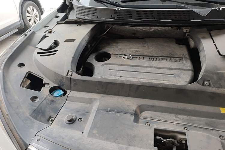Used Haima S5 2019 230T Automatic Flagship Model Engine Bay Right