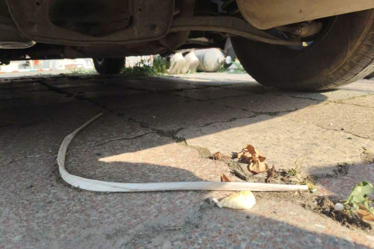 Used Haima S7 2013 2.0L Manual Smart Edition Chassis Rear Left