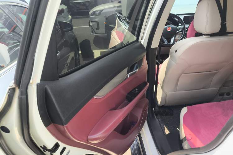 Used Hanteng X5 2018 1.5T CVT New Year Edition Left Rear Door Interior