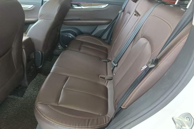 Used Hanteng X5 2018 1.5T CVT Luxury Edition Left Rear Seat