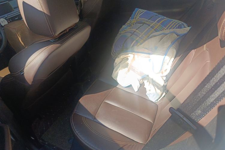 Used Hanteng X5 2018 1.5T CVT Luxury Edition Left Rear Seat