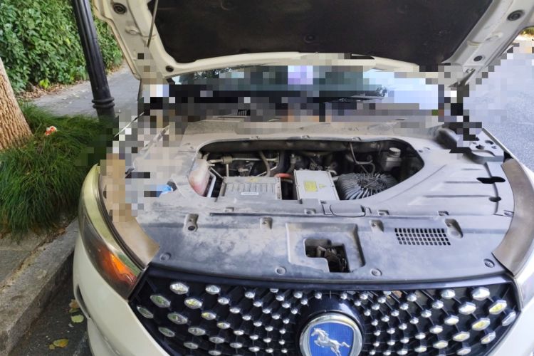 Used Hanteng X5 New Energy 2019 Flagship Edition Engine Bay Right