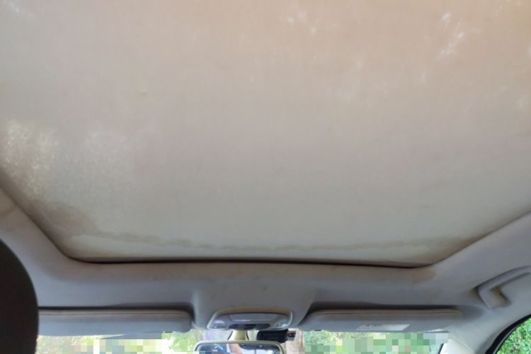 Used Hanteng X5 New Energy 2019 Flagship Edition Headliner