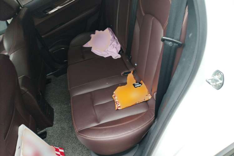 Used Hanteng X5 New Energy 2019 Flagship Edition Left Rear Seat