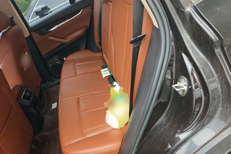 Used Hanteng X7 2016 2.0T DCT Luxury Version Left Rear Seat