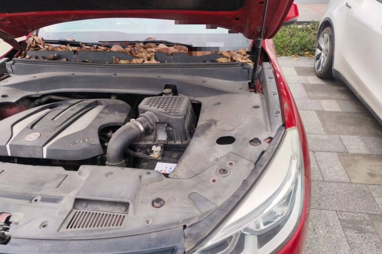 Used Hanteng X7 2016 2.0T DCT Luxury Edition Engine Bay Left