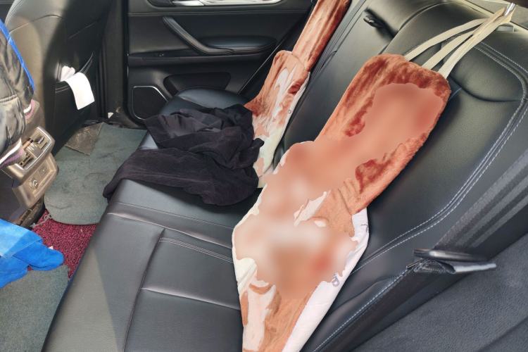 Used Hanteng X7 2016 1.5T Manual Luxury Edition Left Rear Seat