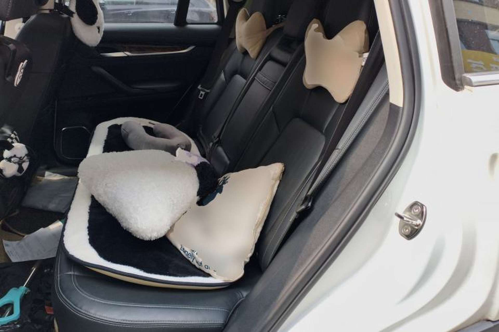 Used Hanteng X7 2018 X7S 1.5T Automatic Luxury Model Left Rear Seat