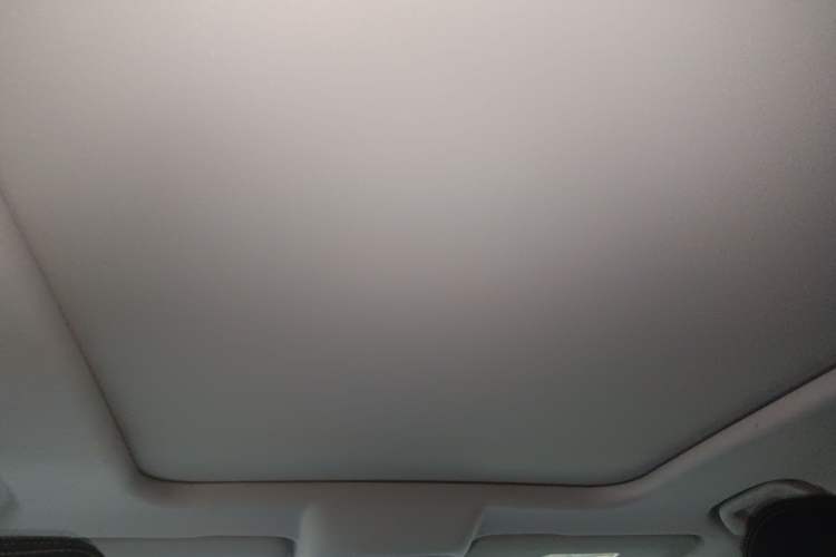 Used Haval DARGO 2024 2.0T DCT Chinese Rural Dog Edition Headliner