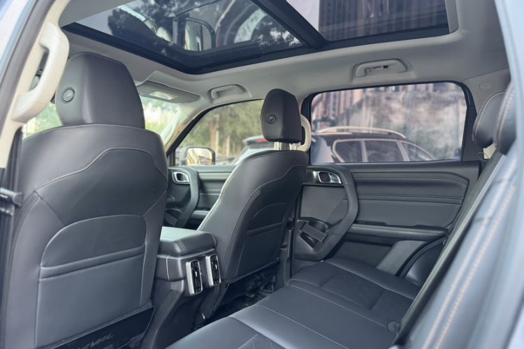 Used Haval DARGO 2024 2.0T DCT Chinese Rural Dog Edition Interior 5