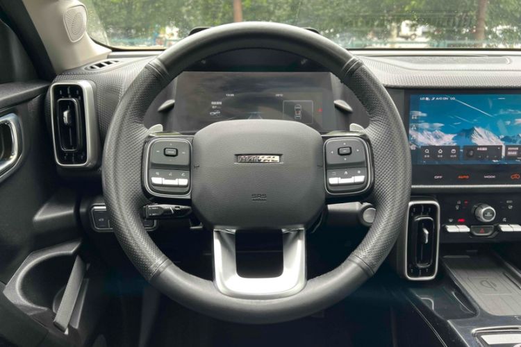 Used Haval DARGO 2022 2.0T DCT Two-Wheel Drive Huazhong Hound Edition Interior 6
