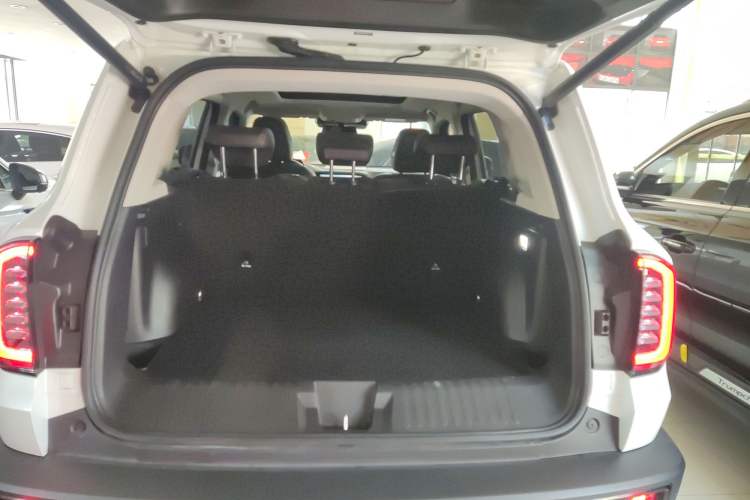 Used Haval DARGO 2022 2.0T DCT Two-Wheel Drive Huazhong Hound Edition Trunk