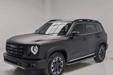 Used Haval DARGO 2021 2.0T DCT 4x4 Chinese Rural Dog Edition
