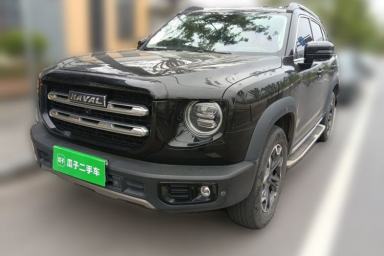 Used Haval DARGO 2021 2.0T DCT 4x4 Chinese Rural Dog Edition