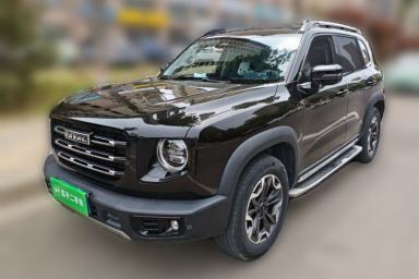 Used Haval DARGO 2021 2.0T DCT 4x4 Chinese Rural Dog Edition