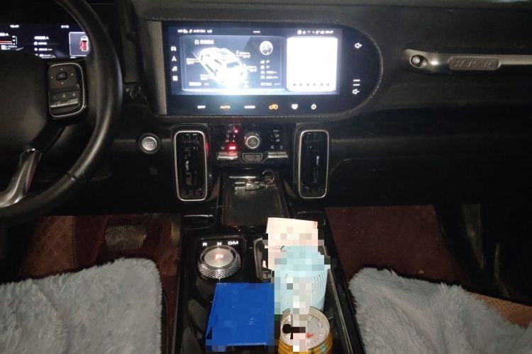 Used Haval DARGO 2021 2.0T DCT 4x4 Chinese Rural Dog Edition Audio And AC Panel