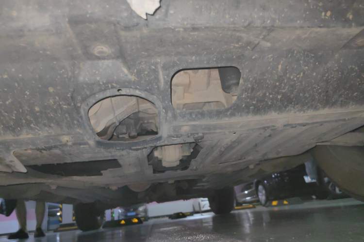 Used Haval DARGO 2021 2.0T DCT 4x4 Chinese Rural Dog Edition Chassis Front