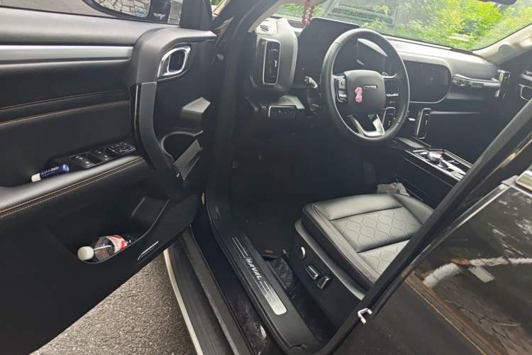 Used Haval DARGO 2021 1.5T DCT Two-Wheel Drive "Mǎquǎn" Edition Driver Seat
