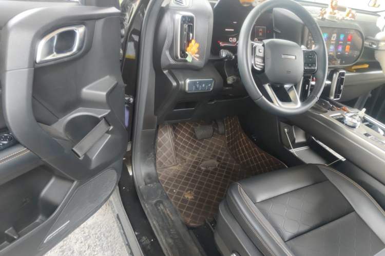 Used Haval DARGO 2021 1.5T DCT Two-Wheel Drive Labrador Edition Driver Seat