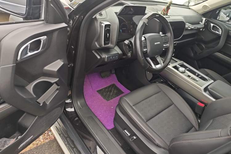 Used Haval DARGO 2021 1.5T DCT Two-Wheel Drive Labrador Edition Driver Seat
