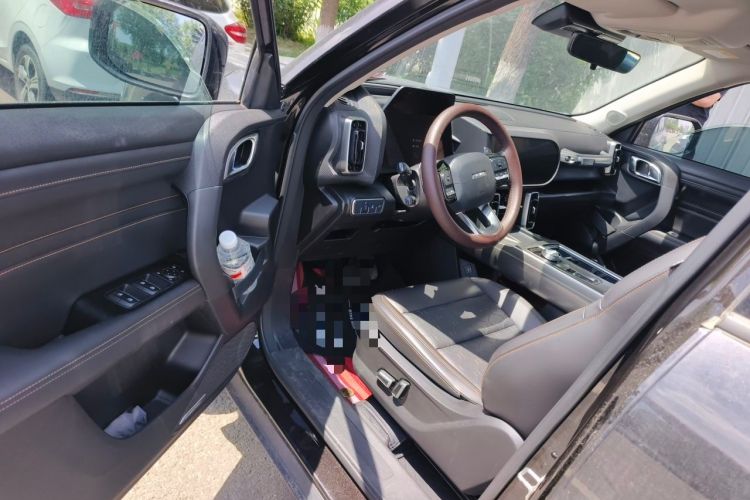 Used Haval DARGO 2021 1.5T DCT Two-Wheel Drive Labrador Edition Driver Seat