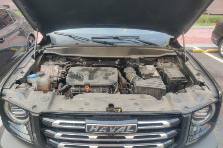Used Haval DARGO 2021 2.0T DCT Two-Wheel Drive Chinese Mastiff Edition Engine Bay