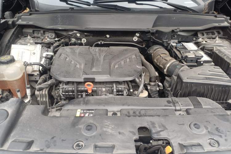 Used Haval DARGO 2021 2.0T DCT Two-Wheel Drive Chinese Mastiff Edition Engine Bay