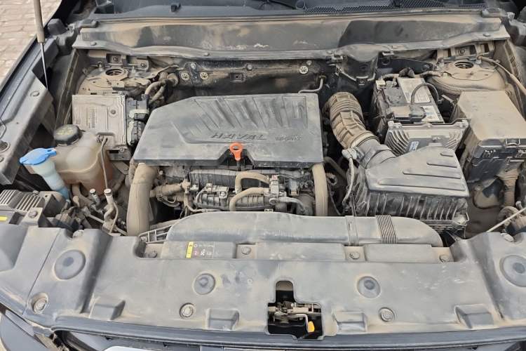 Used Haval DARGO 2021 1.5T DCT Two-Wheel Drive Border Collie Edition Engine Bay