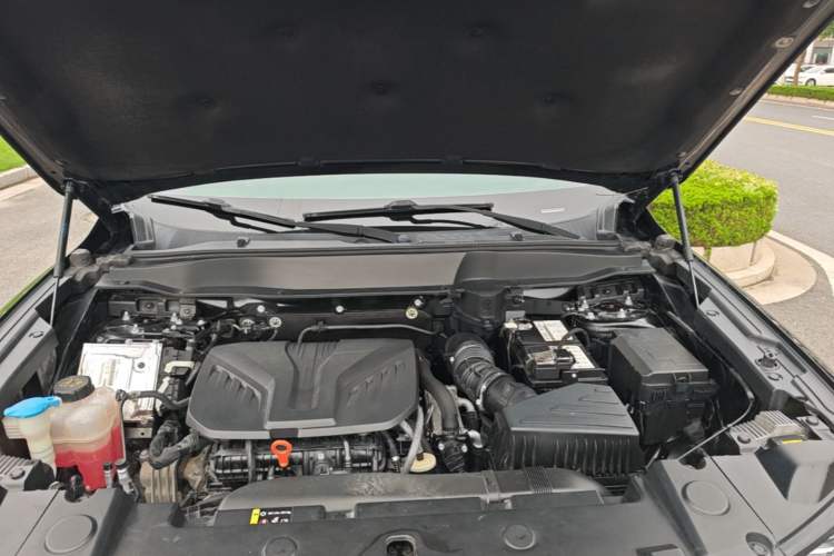 Used Haval DARGO 2021 2.0T DCT Two-Wheel Drive Chinese Mastiff Edition Engine Bay