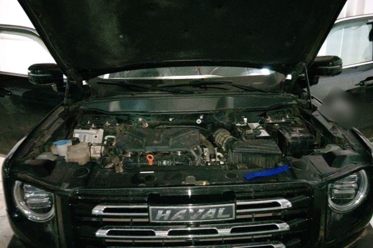 Used Haval DARGO 2021 2.0T DCT 4x4 Chinese Rural Dog Edition Engine Bay