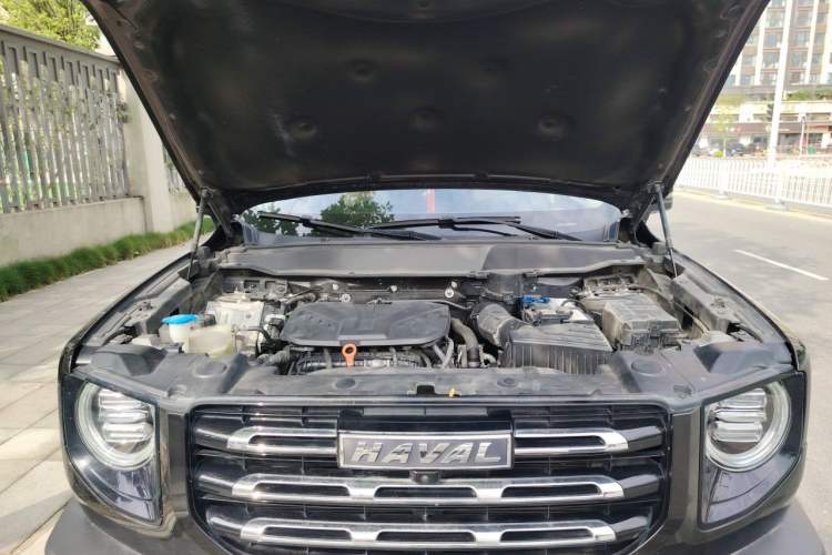 Used Haval DARGO 2021 Revised Version 2.0T DCT Four-Wheel Drive "Hao Tian Que" Edition Engine Bay