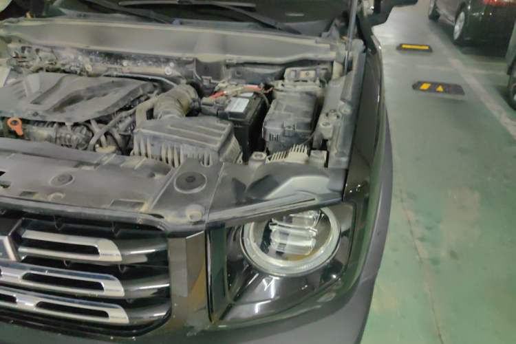Used Haval DARGO 2021 2.0T DCT 4x4 Chinese Rural Dog Edition Engine Bay Left