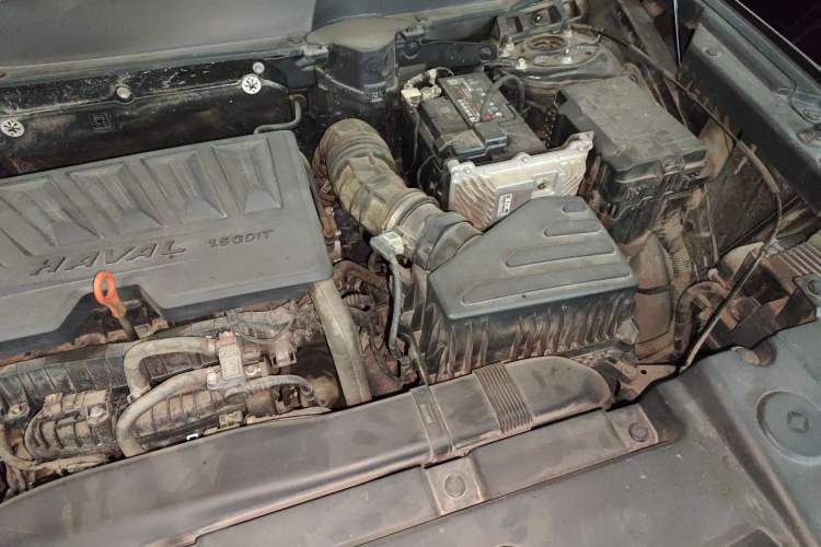 Used Haval DARGO 2021 1.5T DCT Two-Wheel Drive "Mǎquǎn" Edition Engine Bay Left