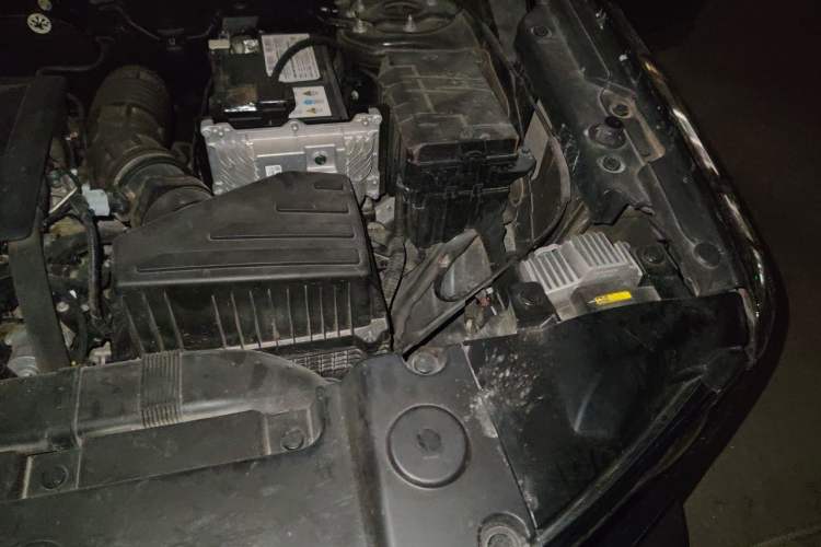 Used Haval DARGO 2021 1.5T DCT Two-Wheel Drive Labrador Edition Engine Bay Left