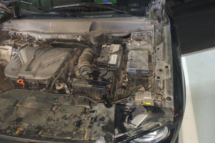 Used Haval DARGO 2021 2.0T DCT All-Wheel-Drive "Hao Tian Quan" Edition Engine Bay Left