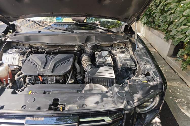 Used Haval DARGO 2021 2.0T DCT 4x4 Chinese Rural Dog Edition Engine Bay Left