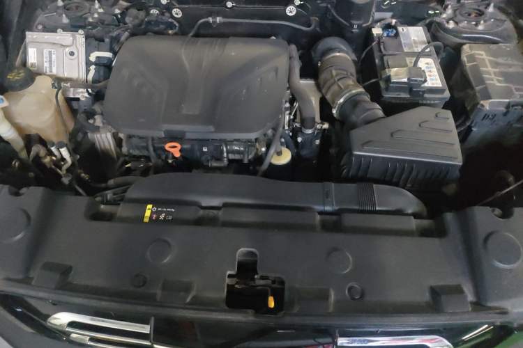 Used Haval DARGO 2021 2.0T DCT 4x4 Chinese Rural Dog Edition Engine Bay
