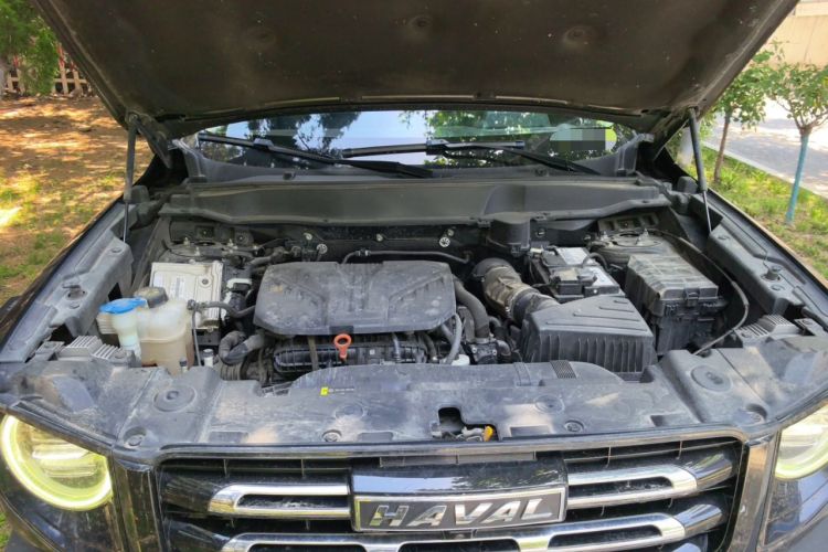 Used Haval DARGO 2021 2.0T DCT 4x4 Chinese Rural Dog Edition Engine Bay