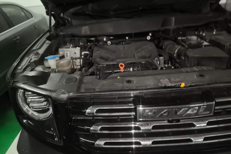 Used Haval DARGO 2021 Revised Version 2.0T DCT Four-Wheel Drive "Hao Tian Que" Edition Engine Bay Right