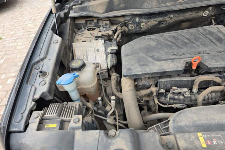 Used Haval DARGO 2021 1.5T DCT Two-Wheel Drive Border Collie Edition Engine Bay Right